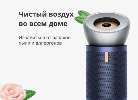 Абсолютные лидеры